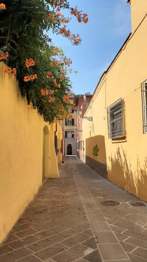 مبيت وإفطار بيزا Casa Campanella المظهر الخارجي الصورة
